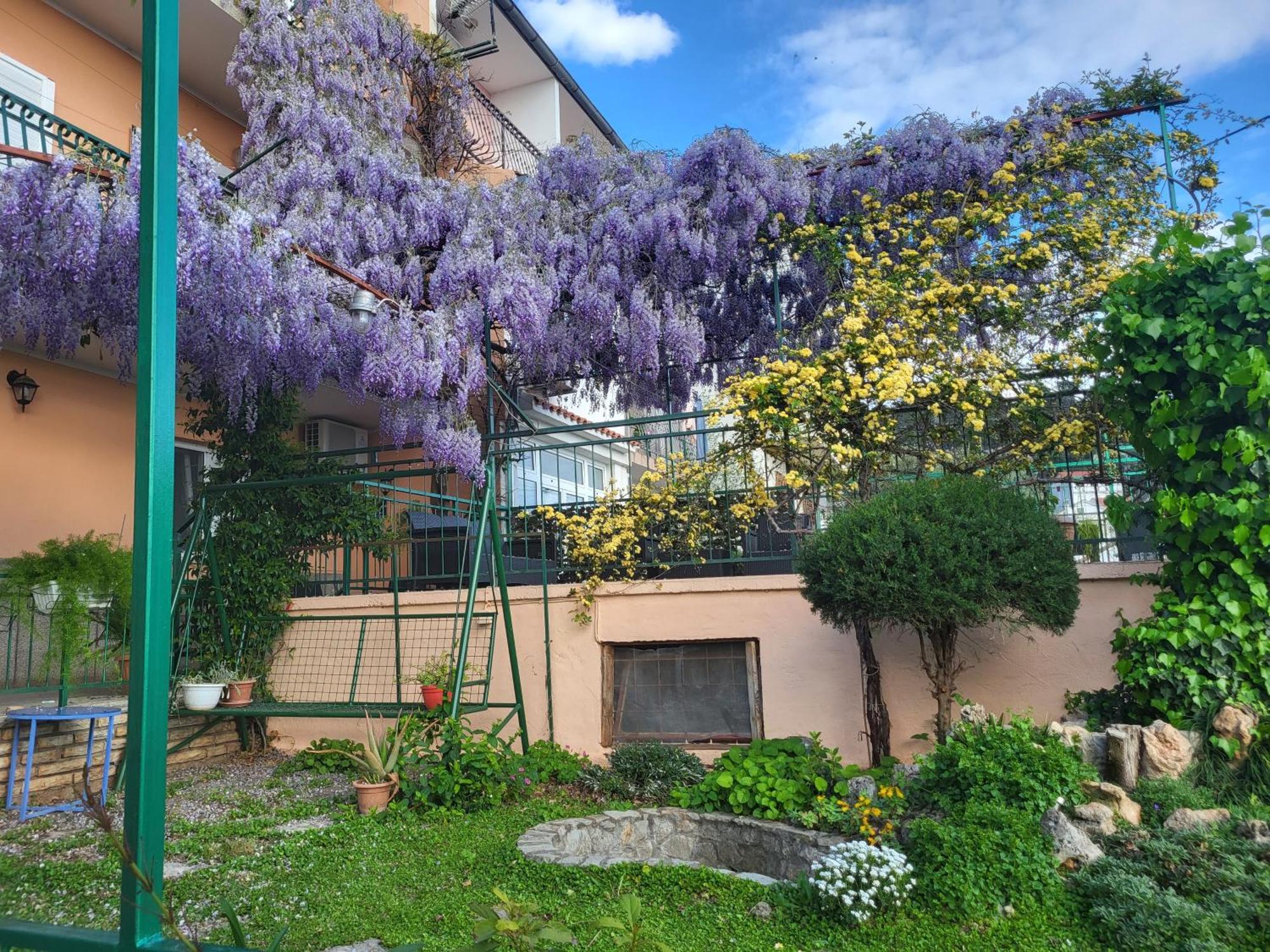 Apartment Katarina Sibenik